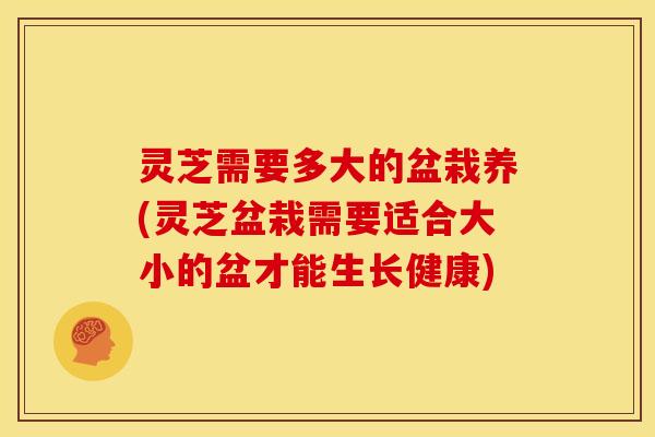 灵芝需要多大的盆栽养(灵芝盆栽需要适合大小的盆才能生长健康)