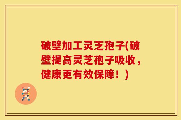 破壁加工灵芝孢子(破壁提高灵芝孢子吸收，健康更有效保障！)