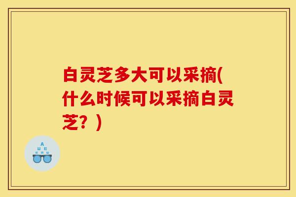 白灵芝多大可以采摘(什么时候可以采摘白灵芝？)