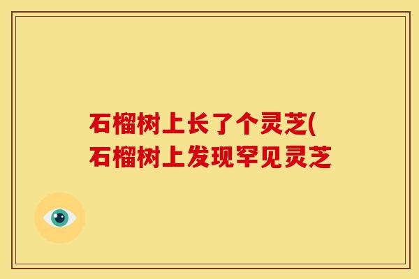 石榴树上长了个灵芝(石榴树上发现罕见灵芝
