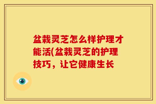 盆栽灵芝怎么样护理才能活(盆栽灵芝的护理技巧,让它健康生长