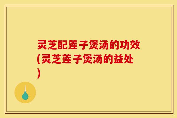 灵芝配莲子煲汤的功效(灵芝莲子煲汤的益处)
