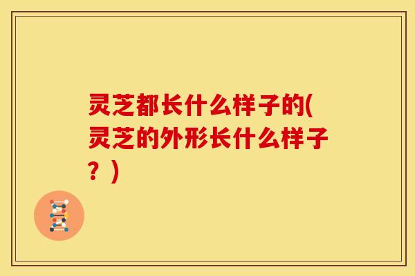 灵芝都长什么样子的(灵芝的外形长什么样子?)