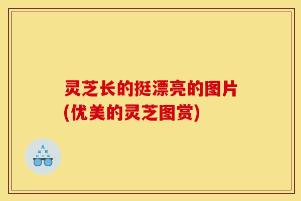 灵芝长的挺漂亮的图片(优美的灵芝图赏)