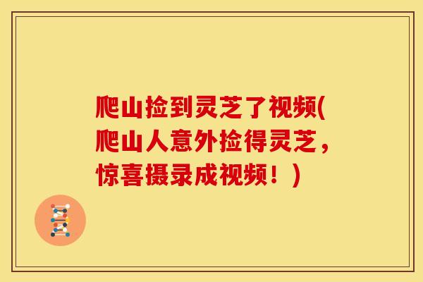 爬山捡到灵芝了视频(爬山人意外捡得灵芝,惊喜摄录成视频!)