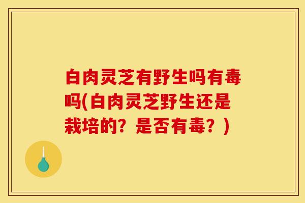白肉灵芝有野生吗有毒吗(白肉灵芝野生还是栽培的?是否有毒?)