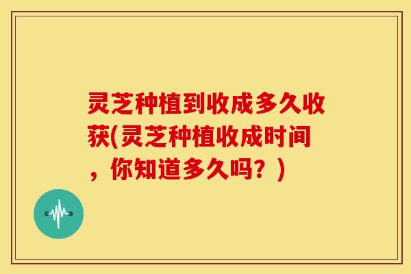 灵芝种植到收成多久收获(灵芝种植收成时间,你知道多久吗?)