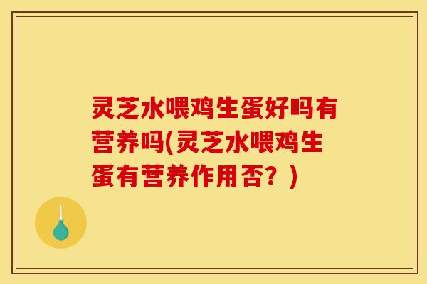 灵芝水喂鸡生蛋好吗有营养吗(灵芝水喂鸡生蛋有营养作用否?)