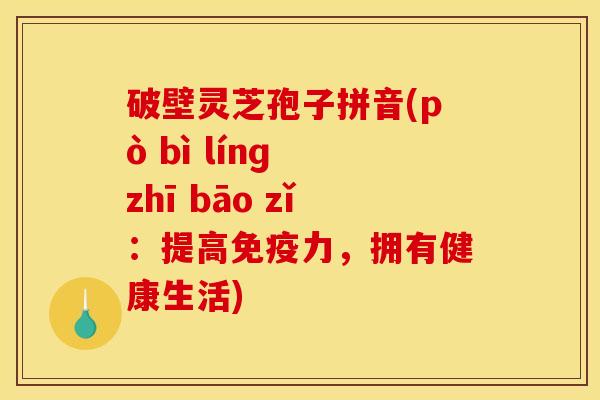 破壁灵芝孢子拼音(pò bì línɡ zhī bāo zǐ：提高免疫力，拥有健康生活)