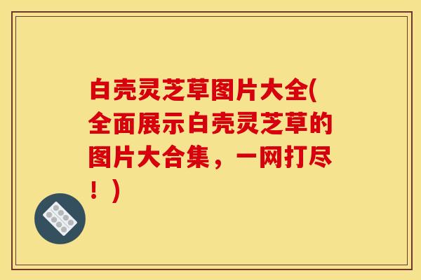 白壳灵芝草图片大全(全面展示白壳灵芝草的图片大合集,一网打尽!)