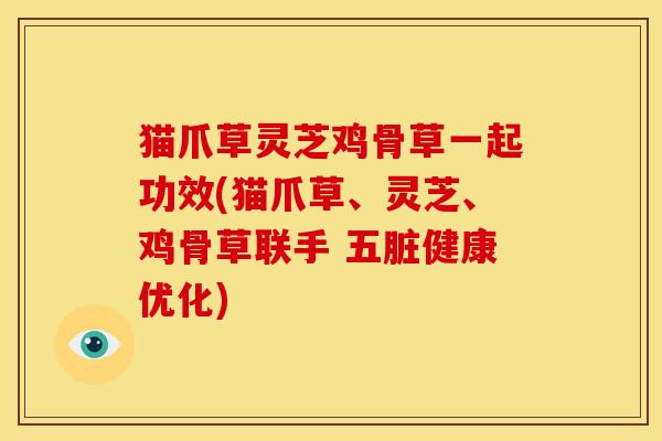 猫爪草灵芝鸡骨草一起功效(猫爪草、灵芝、鸡骨草联手 五脏健康优化)