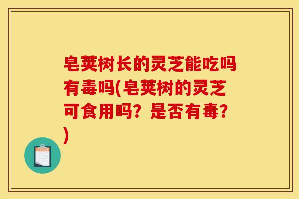皂荚树长的灵芝能吃吗有毒吗(皂荚树的灵芝可食用吗?是否有毒?)
