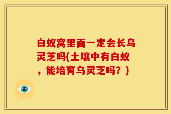 白蚁窝里面一定会长乌灵芝吗(土壤中有白蚁，能培育乌灵芝吗？)
