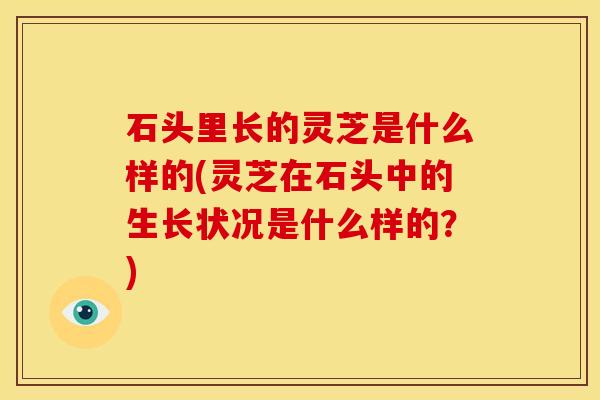 石头里长的灵芝是什么样的(灵芝在石头中的生长状况是什么样的?)