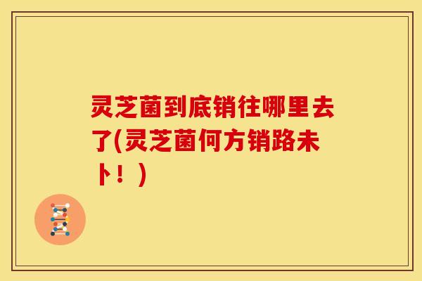 灵芝菌到底销往哪里去了(灵芝菌何方销路未卜!)