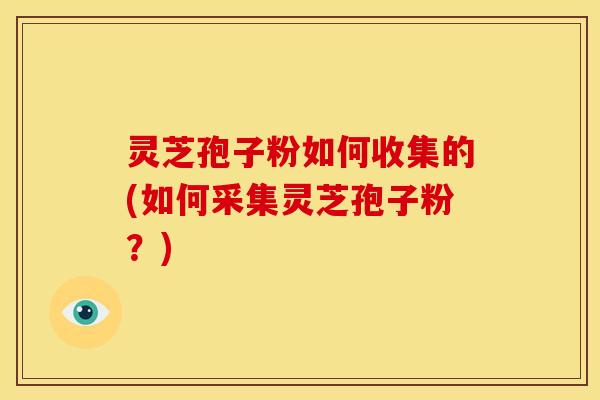 灵芝孢子粉如何收集的(如何采集灵芝孢子粉？)