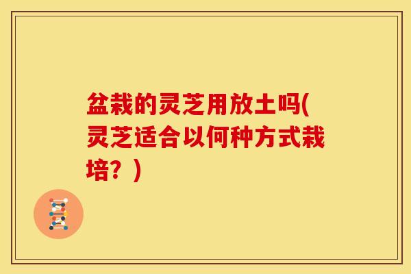 盆栽的灵芝用放土吗(灵芝适合以何种方式栽培?)