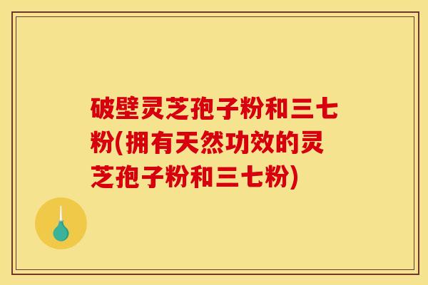 破壁灵芝孢子粉和三七粉(拥有天然功效的灵芝孢子粉和三七粉)