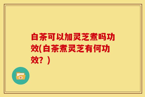 白茶可以加灵芝煮吗功效(白茶煮灵芝有何功效?)