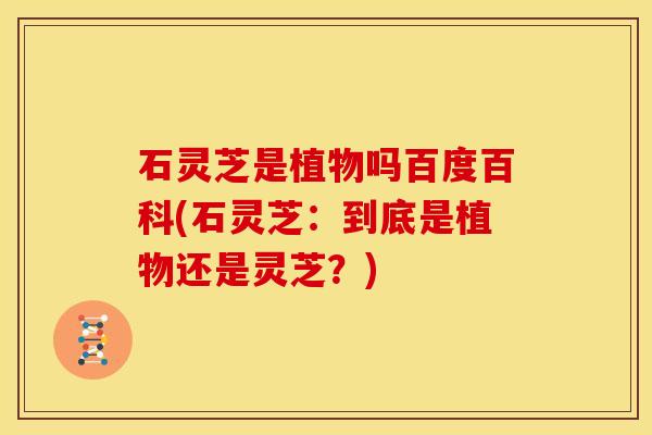 石灵芝是植物吗百度百科(石灵芝：到底是植物还是灵芝？)