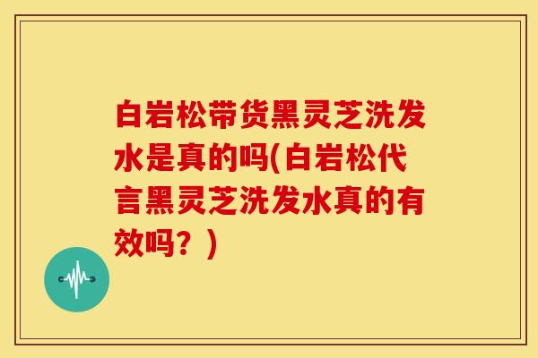 白岩松带货黑灵芝洗发水是真的吗(白岩松代言黑灵芝洗发水真的有效吗?)