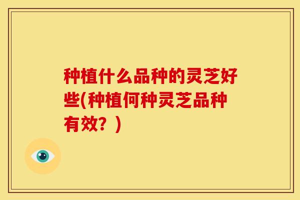 种植什么品种的灵芝好些(种植何种灵芝品种有效?)
