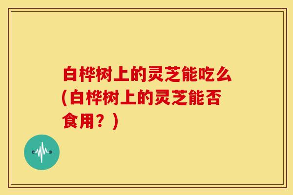 白桦树上的灵芝能吃么(白桦树上的灵芝能否食用？)