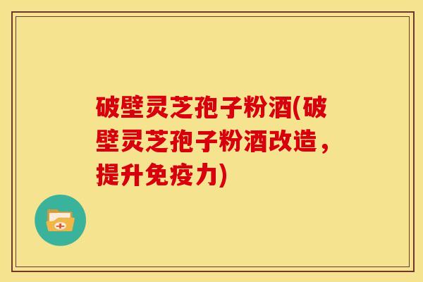 破壁灵芝孢子粉酒(破壁灵芝孢子粉酒改造,提升免疫力)