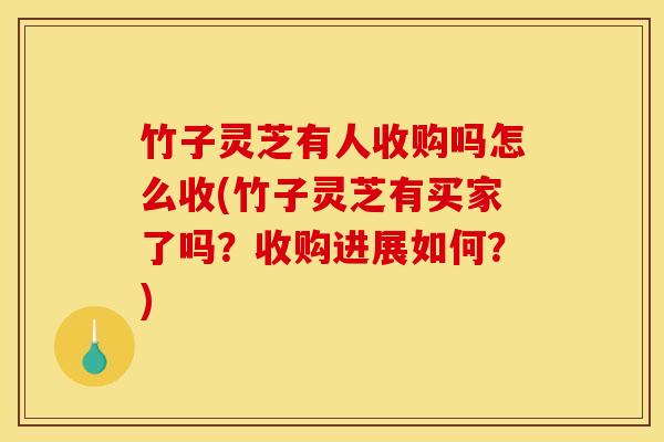 竹子灵芝有人收购吗怎么收(竹子灵芝有买家了吗？收购进展如何？)