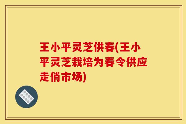 王小平灵芝供春(王小平灵芝栽培为春令供应走俏市场)