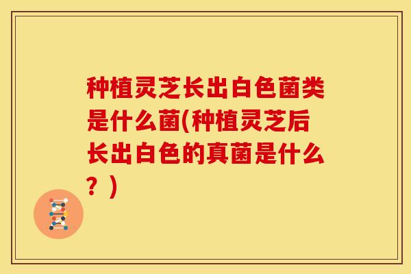 种植灵芝长出白色菌类是什么菌(种植灵芝后长出白色的真菌是什么？)