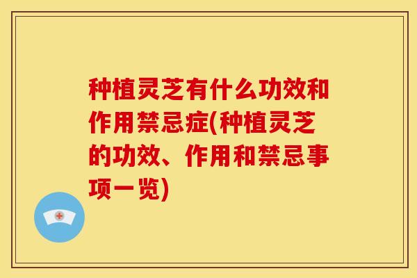种植灵芝有什么功效和作用禁忌症(种植灵芝的功效、作用和禁忌事项一览)