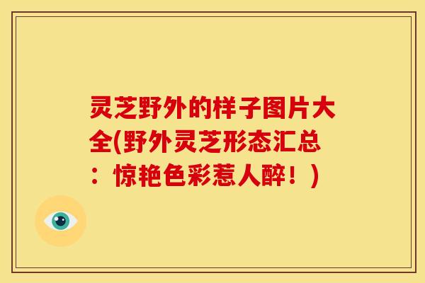 灵芝野外的样子图片大全(野外灵芝形态汇总:惊艳色彩惹人醉!)