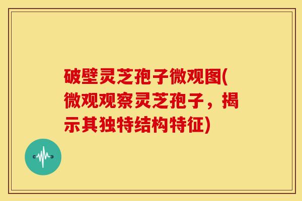 破壁灵芝孢子微观图(微观观察灵芝孢子,揭示其独特结构特征)