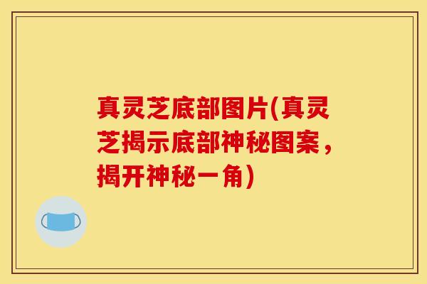 真灵芝底部图片(真灵芝揭示底部神秘图案,揭开神秘一角)