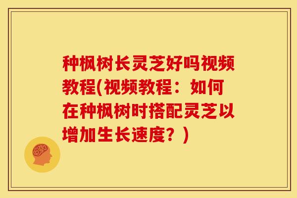 种枫树长灵芝好吗视频教程(视频教程:如何在种枫树时搭配灵芝以增加生长速度?)