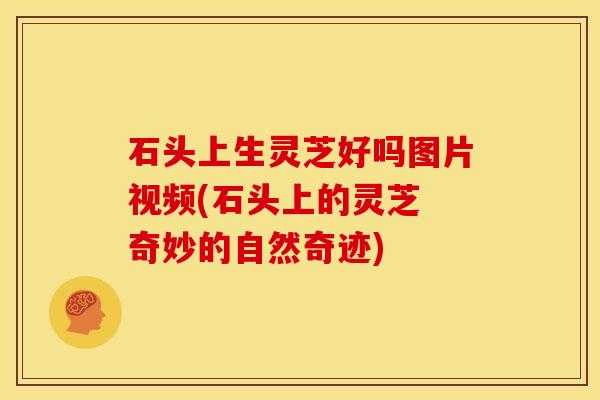 石头上生灵芝好吗图片视频(石头上的灵芝 奇妙的自然奇迹)