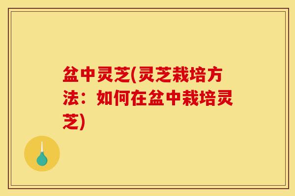 盆中灵芝(灵芝栽培方法：如何在盆中栽培灵芝)