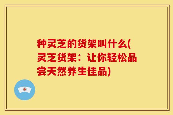 种灵芝的货架叫什么(灵芝货架:让你轻松品尝天然养生佳品)