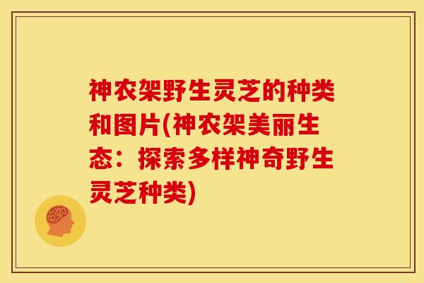 神农架野生灵芝的种类和图片(神农架美丽生态:探索多样神奇野生灵芝种类)