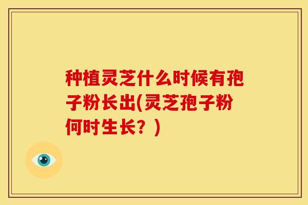种植灵芝什么时候有孢子粉长出(灵芝孢子粉何时生长?)