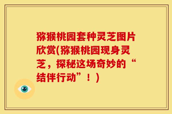 猕猴桃园套种灵芝图片欣赏(猕猴桃园现身灵芝，探秘这场奇妙的“结伴行动”！)