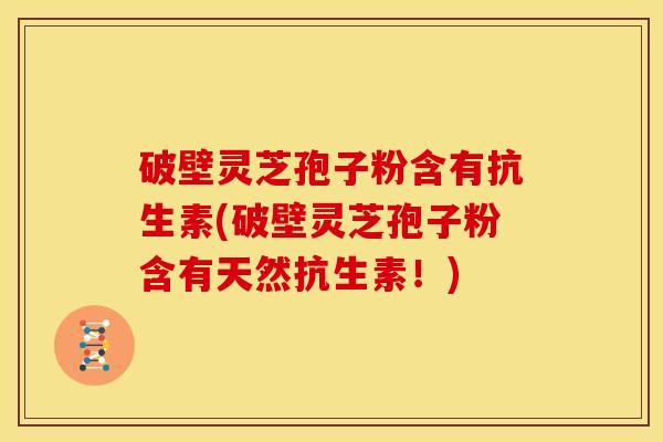 破壁灵芝孢子粉含有抗生素(破壁灵芝孢子粉含有天然抗生素!)