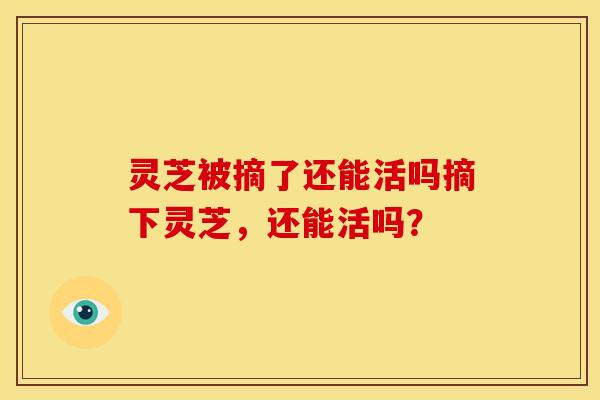 灵芝被摘了还能活吗摘下灵芝,还能活吗?