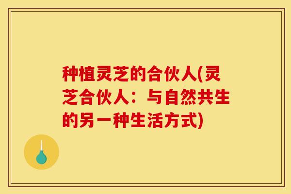 种植灵芝的合伙人(灵芝合伙人:与自然共生的另一种生活方式)