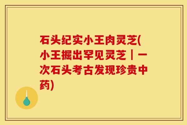 石头纪实小王肉灵芝(小王掘出罕见灵芝|一次石头考古发现珍贵中药)