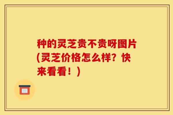 种的灵芝贵不贵呀图片(灵芝价格怎么样?快来看看!)