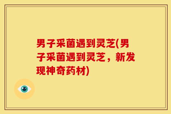 男子采菌遇到灵芝(男子采菌遇到灵芝,新发现神奇药材)