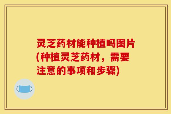 灵芝药材能种植吗图片(种植灵芝药材,需要注意的事项和步骤)