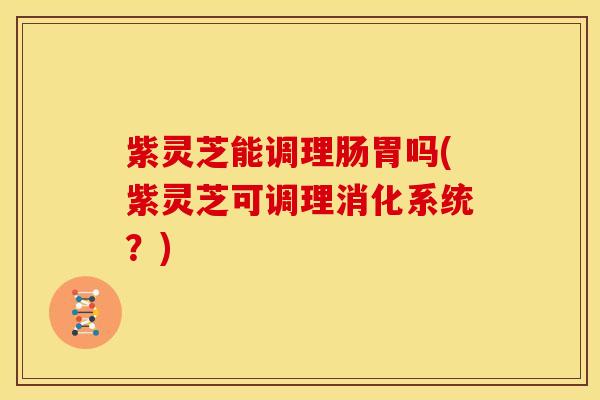 紫灵芝能调理肠胃吗(紫灵芝可调理消化系统?)